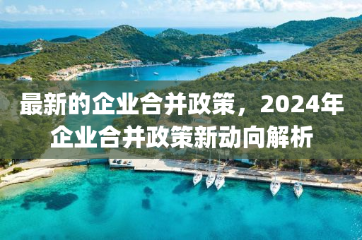 最新的企業(yè)合并政策，2024年企業(yè)合并政策新動向解析