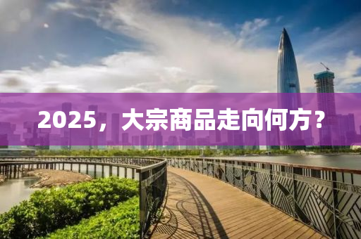 2025，大宗商品走向何方？