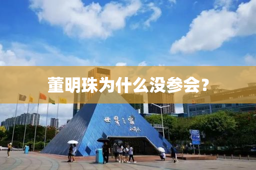 董明珠為什么沒參會？
