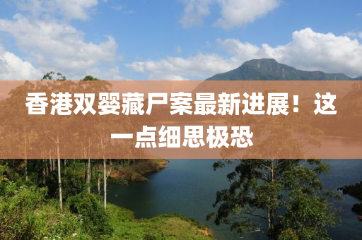 香港雙嬰藏尸案最新進展！這一點細思極恐
