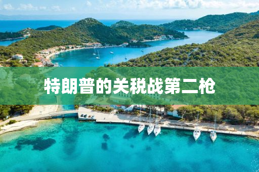 特朗普的關稅戰(zhàn)第二槍