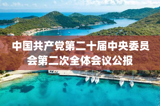 中國共產(chǎn)黨第二十屆中央委員會(huì)第二次全體會(huì)議公報(bào)