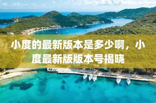 小度的最新版本是多少啊，小度最新版版本號揭曉