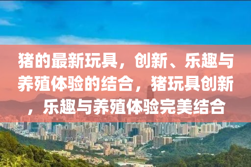 豬的最新玩具，創(chuàng)新、樂趣與養(yǎng)殖體驗的結合，豬玩具創(chuàng)新，樂趣與養(yǎng)殖體驗完美結合