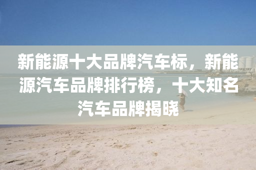 新能源十大品牌汽車(chē)標(biāo)，新能源汽車(chē)品牌排行榜，十大知名汽車(chē)品牌揭曉