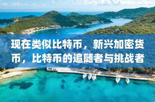現(xiàn)在類似比特幣，新興加密貨幣，比特幣的追隨者與挑戰(zhàn)者
