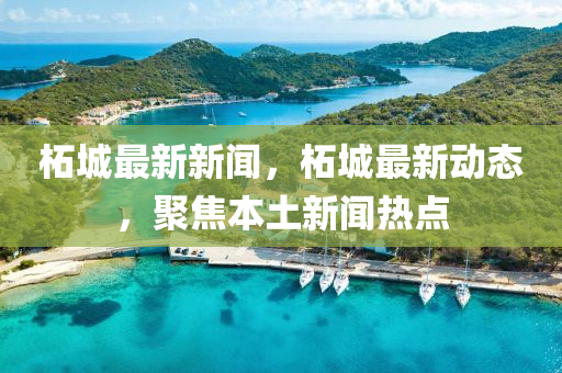 柘城最新新聞，柘城最新動(dòng)態(tài)，聚焦本土新聞熱點(diǎn)