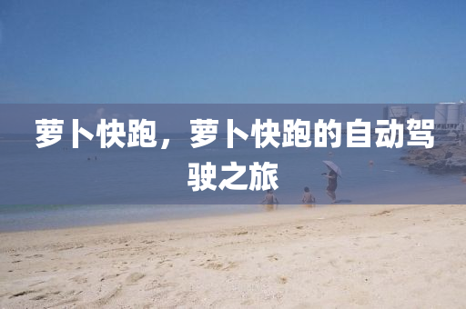 蘿卜快跑，蘿卜快跑的自動駕駛之旅
