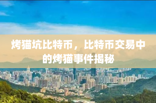 烤貓坑比特幣，比特幣交易中的烤貓事件揭秘