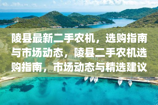 陵縣最新二手農(nóng)機(jī)，選購(gòu)指南與市場(chǎng)動(dòng)態(tài)，陵縣二手農(nóng)機(jī)選購(gòu)指南，市場(chǎng)動(dòng)態(tài)與精選建議