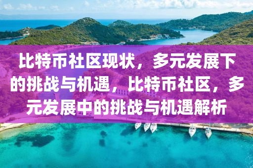 比特幣社區(qū)現(xiàn)狀，多元發(fā)展下的挑戰(zhàn)與機遇，比特幣社區(qū)，多元發(fā)展中的挑戰(zhàn)與機遇解析