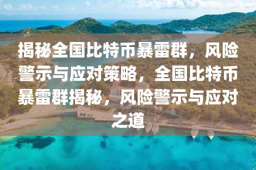 揭秘全國比特幣暴雷群，風(fēng)險警示與應(yīng)對策略，全國比特幣暴雷群揭秘，風(fēng)險警示與應(yīng)對之道