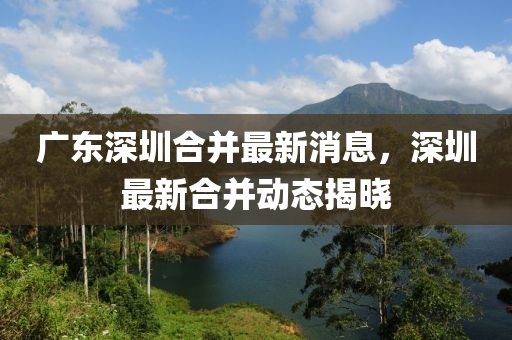 廣東深圳合并最新消息，深圳最新合并動(dòng)態(tài)揭曉