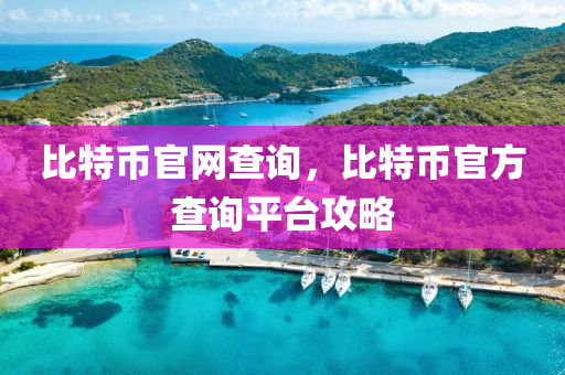 比特幣官網(wǎng)查詢，比特幣官方查詢平臺(tái)攻略