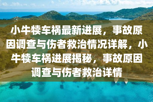 小牛犢車禍最新進展，事故原因調(diào)查與傷者救治情況詳解，小牛犢車禍進展揭秘，事故原因調(diào)查與傷者救治詳情