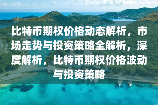 比特幣期權(quán)價(jià)格動(dòng)態(tài)解析，市場走勢與投資策略全解析，深度解析，比特幣期權(quán)價(jià)格波動(dòng)與投資策略