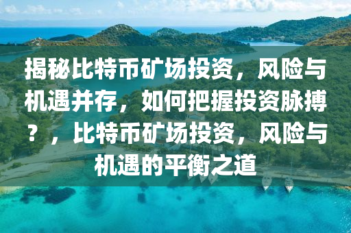揭秘比特幣礦場(chǎng)投資，風(fēng)險(xiǎn)與機(jī)遇并存，如何把握投資脈搏？，比特幣礦場(chǎng)投資，風(fēng)險(xiǎn)與機(jī)遇的平衡之道