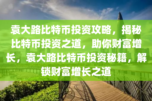 袁大路比特幣投資攻略，揭秘比特幣投資之道，助你財(cái)富增長(zhǎng)，袁大路比特幣投資秘籍，解鎖財(cái)富增長(zhǎng)之道