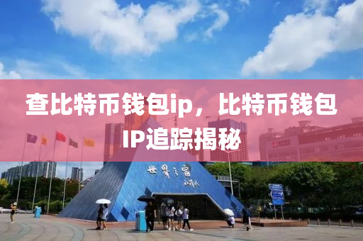 查比特幣錢包ip，比特幣錢包IP追蹤揭秘