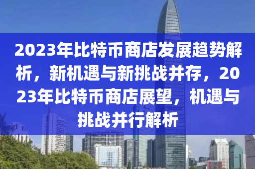 2023年比特幣商店發(fā)展趨勢(shì)解析，新機(jī)遇與新挑戰(zhàn)并存，2023年比特幣商店展望，機(jī)遇與挑戰(zhàn)并行解析