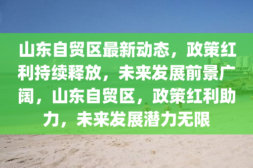 山東自貿(mào)區(qū)最新動(dòng)態(tài)，政策紅利持續(xù)釋放，未來發(fā)展前景廣闊，山東自貿(mào)區(qū)，政策紅利助力，未來發(fā)展?jié)摿o限