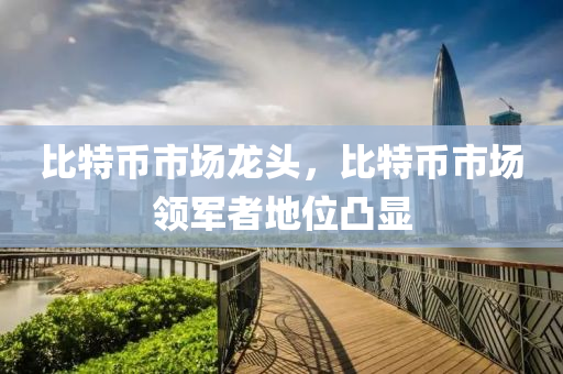 比特幣市場(chǎng)龍頭，比特幣市場(chǎng)領(lǐng)軍者地位凸顯
