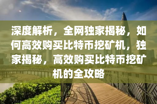 深度解析，全網(wǎng)獨(dú)家揭秘，如何高效購(gòu)買(mǎi)比特幣挖礦機(jī)，獨(dú)家揭秘，高效購(gòu)買(mǎi)比特幣挖礦機(jī)的全攻略