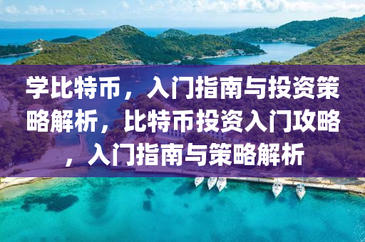 學(xué)比特幣，入門指南與投資策略解析，比特幣投資入門攻略，入門指南與策略解析