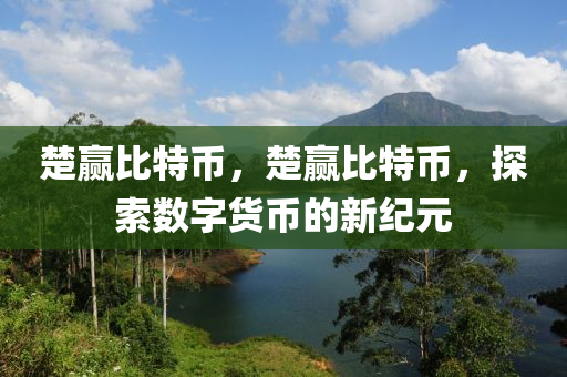 楚贏比特幣，楚贏比特幣，探索數(shù)字貨幣的新紀元