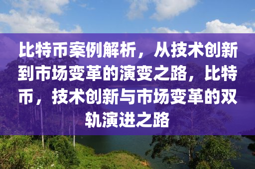 比特幣案例解析，從技術(shù)創(chuàng)新到市場(chǎng)變革的演變之路，比特幣，技術(shù)創(chuàng)新與市場(chǎng)變革的雙軌演進(jìn)之路