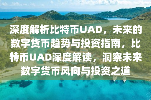 深度解析比特幣UAD，未來的數(shù)字貨幣趨勢與投資指南，比特幣UAD深度解讀，洞察未來數(shù)字貨幣風(fēng)向與投資之道