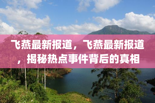 飛燕最新報道，飛燕最新報道，揭秘熱點事件背后的真相