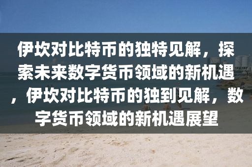 伊坎對(duì)比特幣的獨(dú)特見解，探索未來數(shù)字貨幣領(lǐng)域的新機(jī)遇，伊坎對(duì)比特幣的獨(dú)到見解，數(shù)字貨幣領(lǐng)域的新機(jī)遇展望