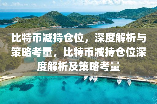 比特幣減持倉位，深度解析與策略考量，比特幣減持倉位深度解析及策略考量