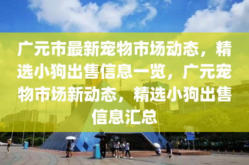 廣元市最新寵物市場動態(tài)，精選小狗出售信息一覽，廣元寵物市場新動態(tài)，精選小狗出售信息匯總