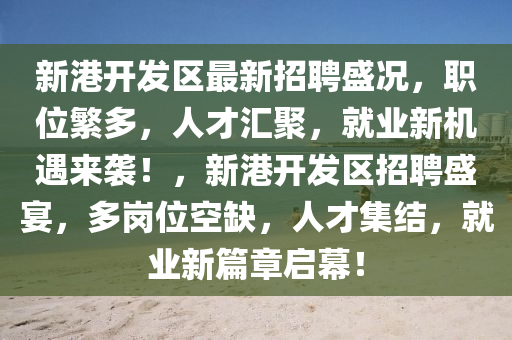 新港開發(fā)區(qū)最新招聘盛況，職位繁多，人才匯聚，就業(yè)新機遇來襲！，新港開發(fā)區(qū)招聘盛宴，多崗位空缺，人才集結，就業(yè)新篇章啟幕！