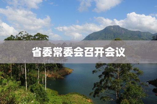 省委常委會召開會議