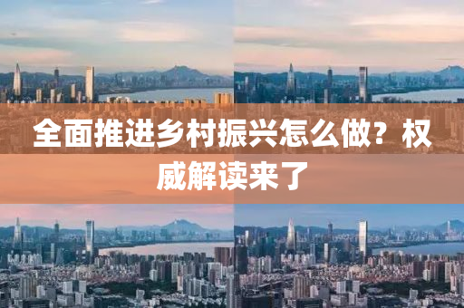 全面推進鄉(xiāng)村振興怎么做？權(quán)威解讀來了