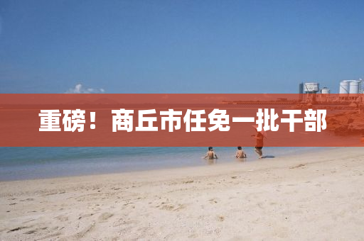 重磅！商丘市任免一批干部