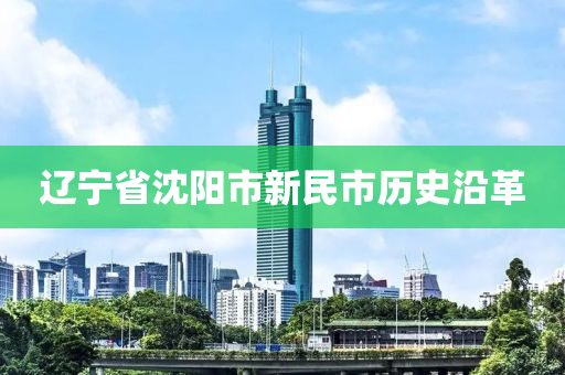 遼寧省沈陽(yáng)市新民市歷史沿革