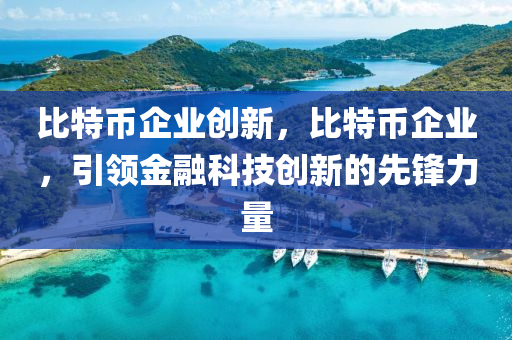 比特幣企業(yè)創(chuàng)新，比特幣企業(yè)，引領金融科技創(chuàng)新的先鋒力量