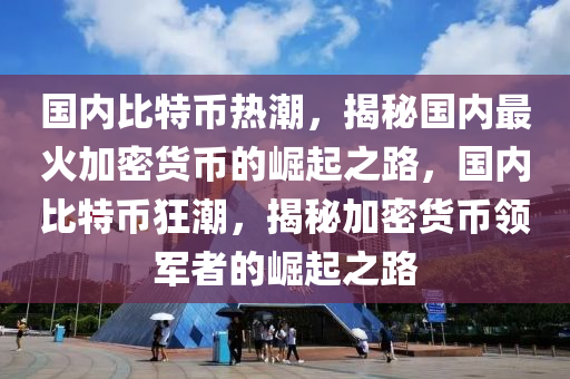 國(guó)內(nèi)比特幣熱潮，揭秘國(guó)內(nèi)最火加密貨幣的崛起之路，國(guó)內(nèi)比特幣狂潮，揭秘加密貨幣領(lǐng)軍者的崛起之路