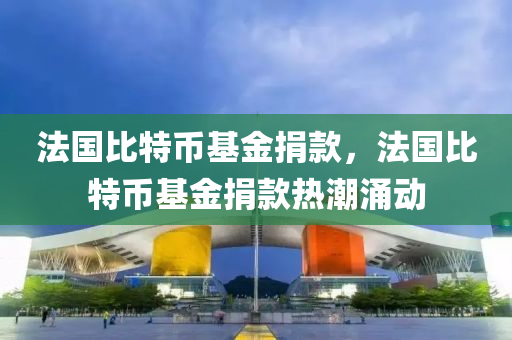 法國比特幣基金捐款，法國比特幣基金捐款熱潮涌動