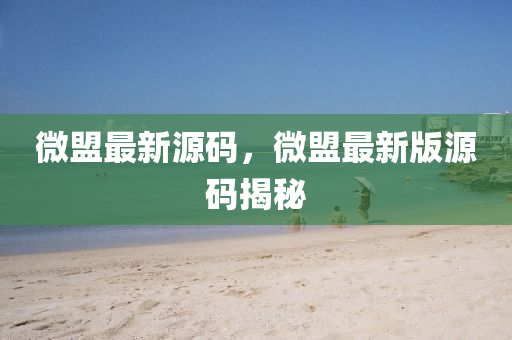 微盟最新源碼，微盟最新版源碼揭秘