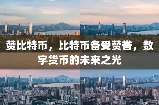 贊比特幣，比特幣備受贊譽(yù)，數(shù)字貨幣的未來之光