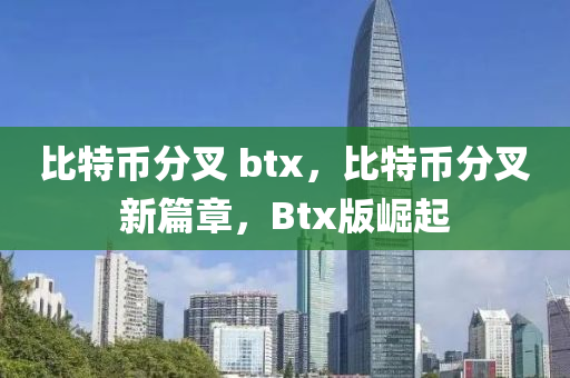 比特幣分叉 btx，比特幣分叉新篇章，Btx版崛起