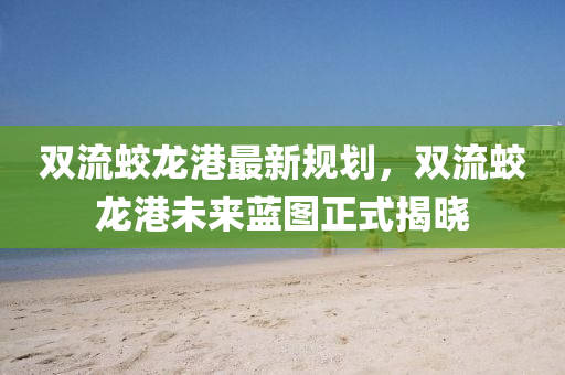 雙流蛟龍港最新規(guī)劃，雙流蛟龍港未來(lái)藍(lán)圖正式揭曉