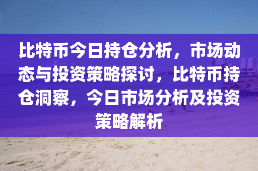 比特幣今日持倉分析，市場動態(tài)與投資策略探討，比特幣持倉洞察，今日市場分析及投資策略解析
