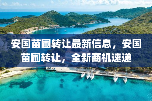安國(guó)苗圃轉(zhuǎn)讓最新信息，安國(guó)苗圃轉(zhuǎn)讓，全新商機(jī)速遞