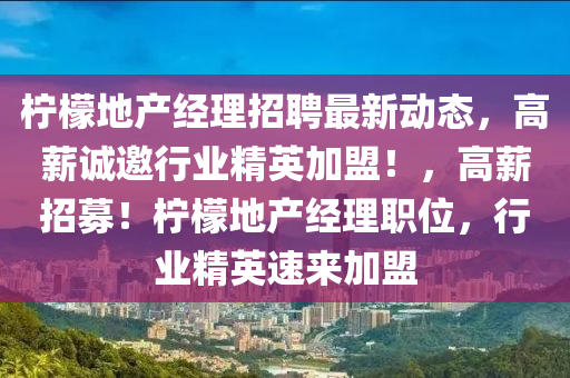 檸檬地產(chǎn)經(jīng)理招聘最新動態(tài)，高薪誠邀行業(yè)精英加盟！，高薪招募！檸檬地產(chǎn)經(jīng)理職位，行業(yè)精英速來加盟